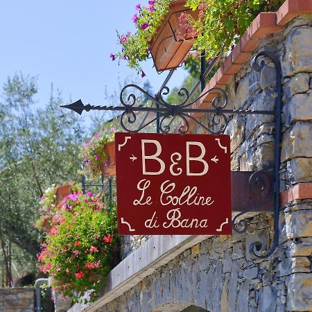 B&B Le Colline Di Bana Камогли Екстериор снимка