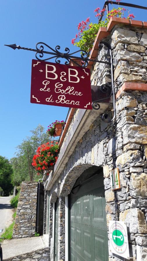 B&B Le Colline Di Bana Камогли Екстериор снимка